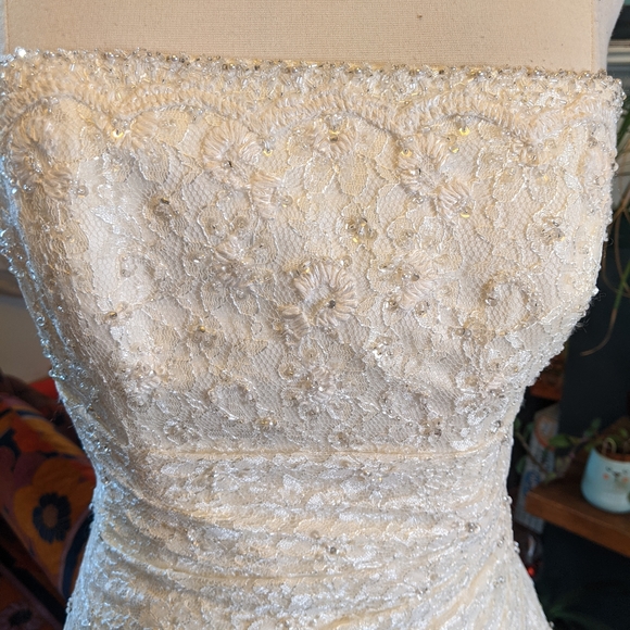 Pronovias Albeniz Tirso Wedding dress - Picture 12 of 15